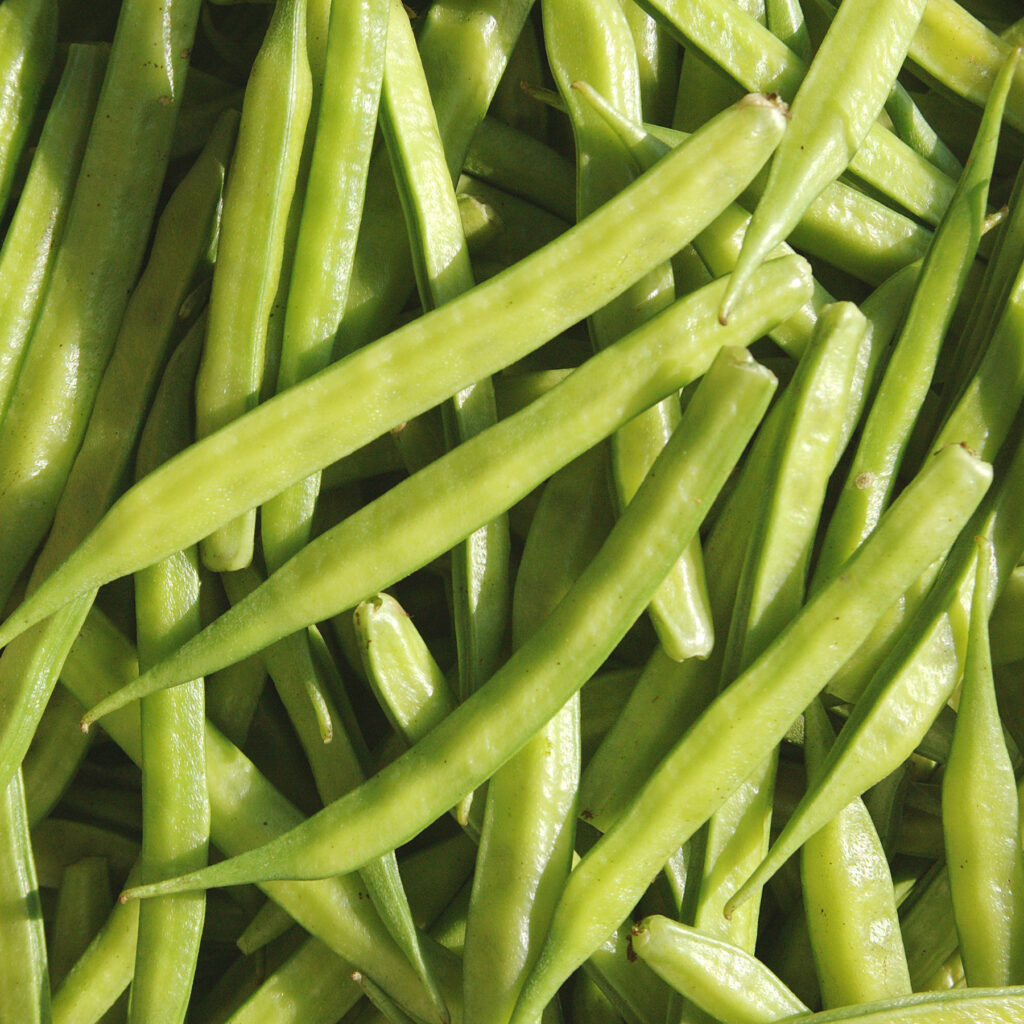 Magnolienblüte als natürlicher Wirkstoff in der Hautpflege